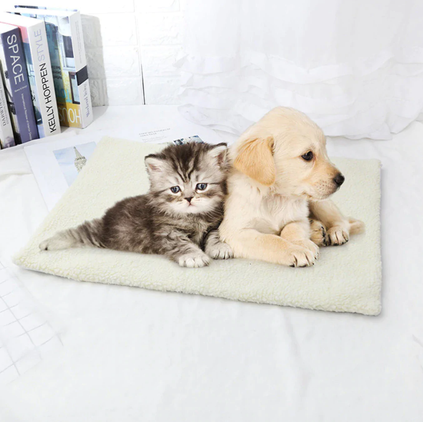 22.01.2023_15.37.08_REC.png Self-Heating Pet Blanket - Image 1