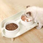 DUAL ELEVATED FEEDING BOWL - Image 4