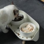 DUAL ELEVATED FEEDING BOWL - Image 7