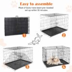 Dog Crate - Image 4
